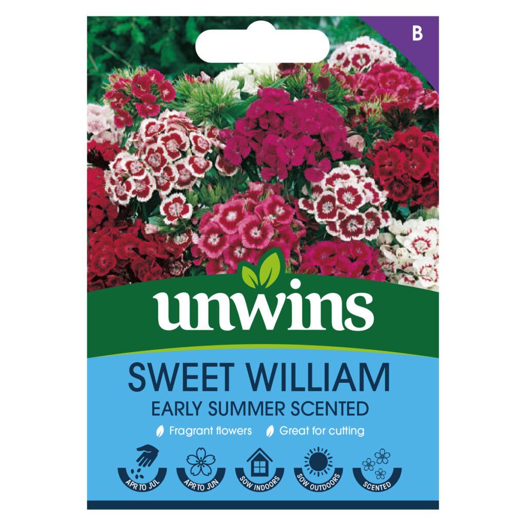 Unwins Sweet William Early Summer Scented Seeds 5051618031745 2